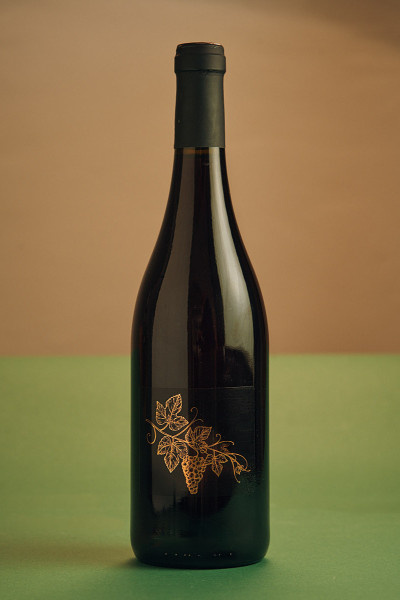 Südtiroler Edelvernatsch 2023 by Vincenzo Degasperi