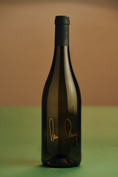 Südtiroler Weissburgunder 2023 by Vincenzo Degasperi