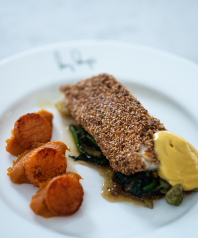 Zanderfilet in der Sesam-/Nusskruste - Süsskartoffel - Spinat - Hollandais