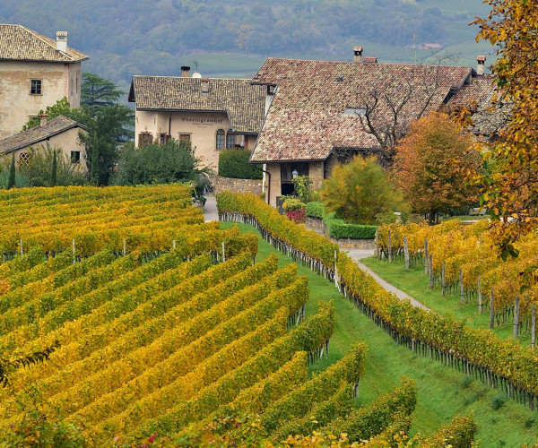 Landschaft mit Häusern in Neumarkt