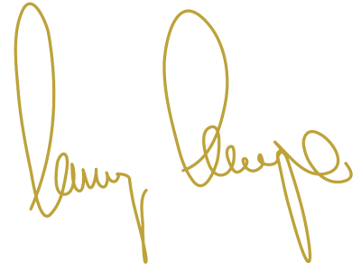 Logo Vincenzo Degasperi